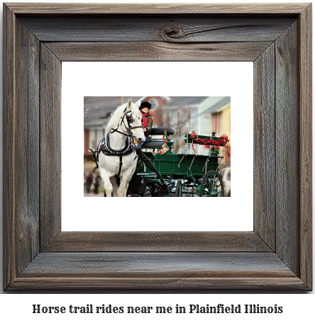 horse trail rides near me in Plainfield, Illinois